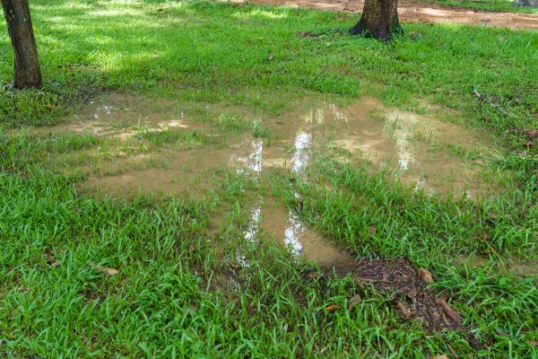 Cost of Storm Water Drainage Service in Athens