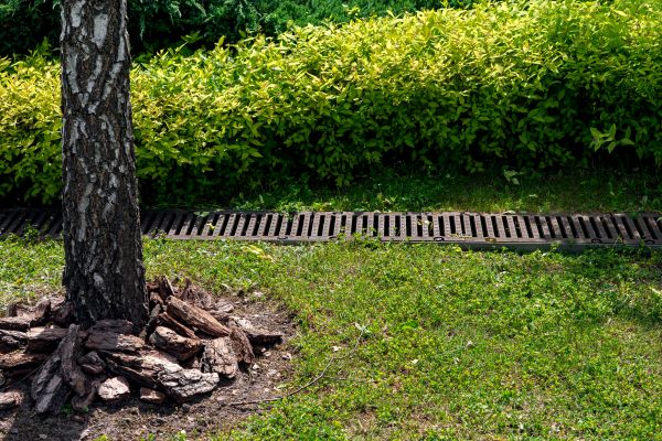 Cost of Wet Yard Drainage in Athens
