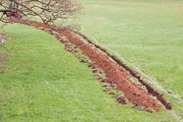 Cost of Swale Installation in Athens