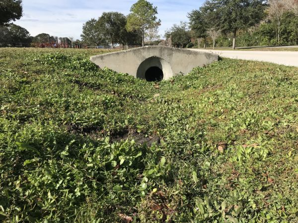 Cost of Swale Drainage Service in Athens